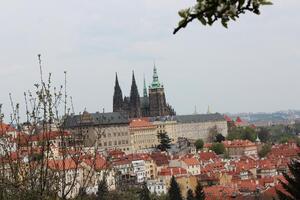 Obecní úřad Časy