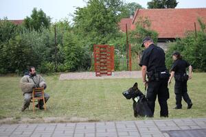 Obecní úřad Časy