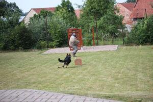 Obecní úřad Časy