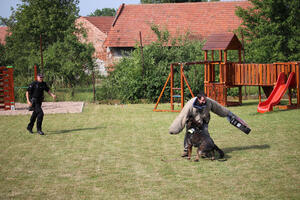 Obecní úřad Časy