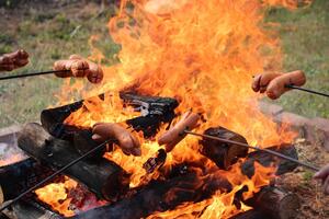 Obecní úřad Časy