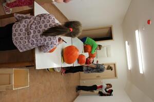 Obecní úřad Časy