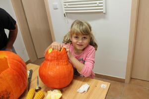 Obecní úřad Časy