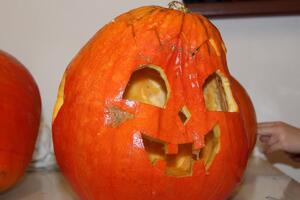 Obecní úřad Časy