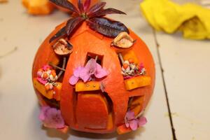 Obecní úřad Časy