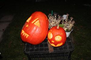 Obecní úřad Časy