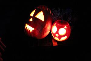 Obecní úřad Časy